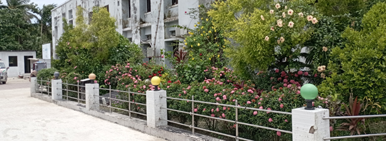 image-here